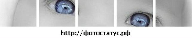 Андрій Конзюба фотография #30 (источник - https://vk.com/id126428404)