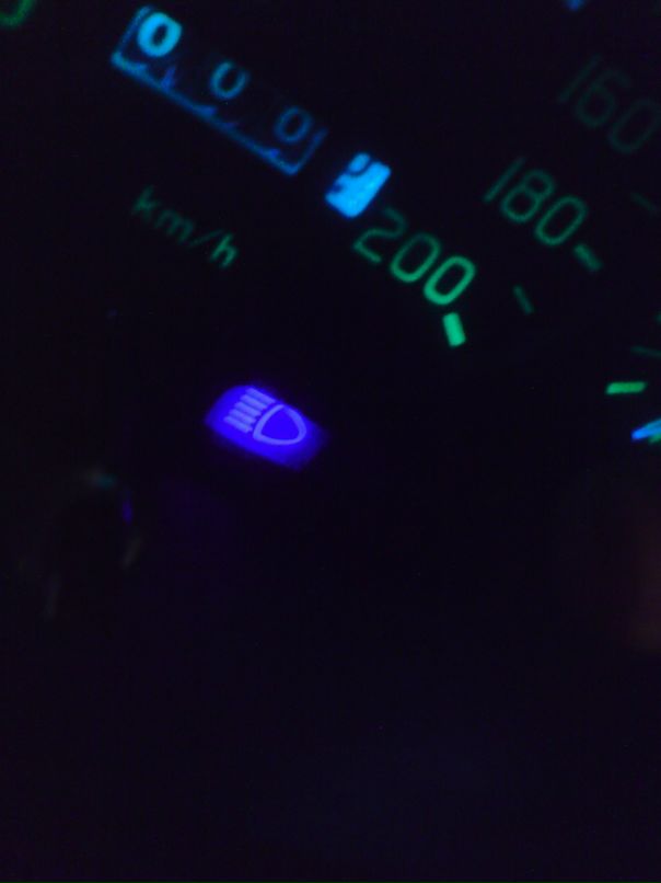 Алексей Савельев фотография #31