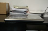 Ростік Трач фотография #14 (источник - https://vk.com/id8330186)