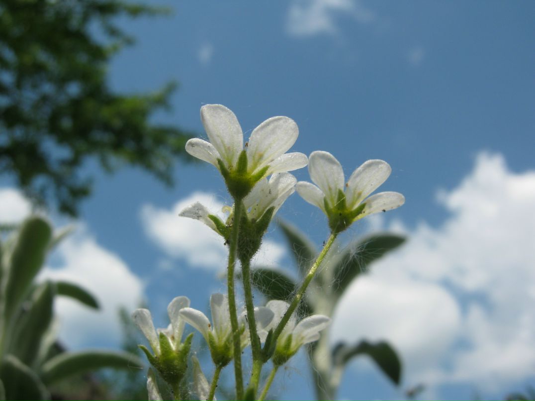 So Much фотография #47