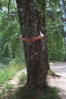 Фотография Денисова Александра