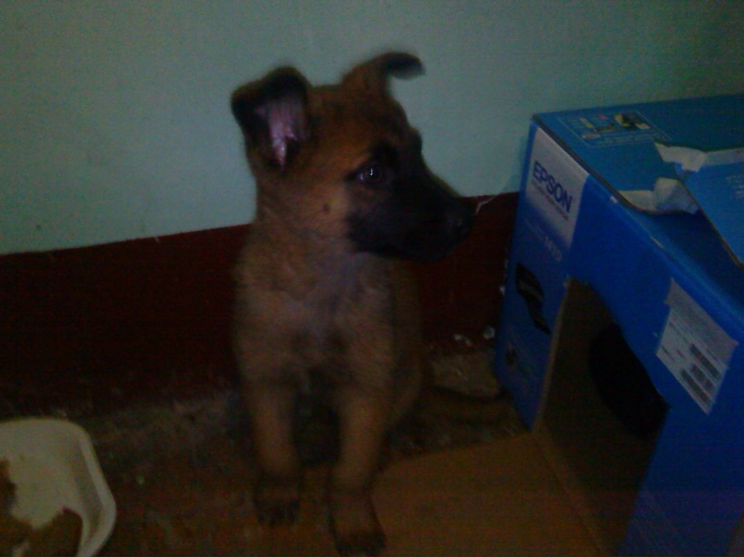 Роман Ситников фотография #50