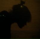 Фотография Долгицкой Анастасии