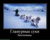 Фотография Соловьёва Ильи