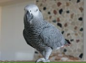 Фотография Еникеевой Юли