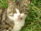 Фотография Шишковой-Салимбаевой Вики