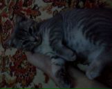 Фотография Приваловой Алёны