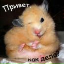 Міша Унгурян фотография #44 (источник - https://vk.com/id149193848)