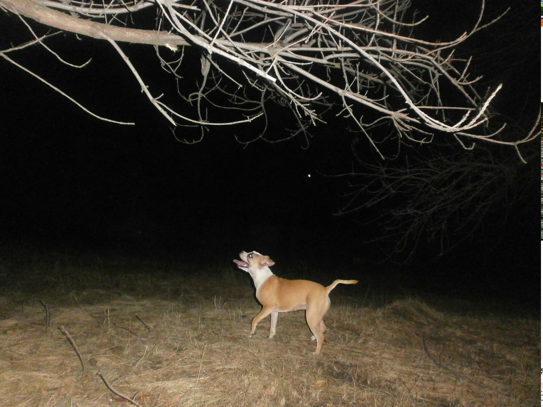 Роман Василенко фотография #40