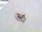 Фотография Сазонова Сергея