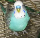 Влад Дмитриев фотография #7 (источник - https://vk.com/id98125)