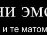 Міша Міша фотография #3 (источник - https://vk.com/id153200084)