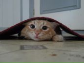 Фотография Валиуллина Дамира