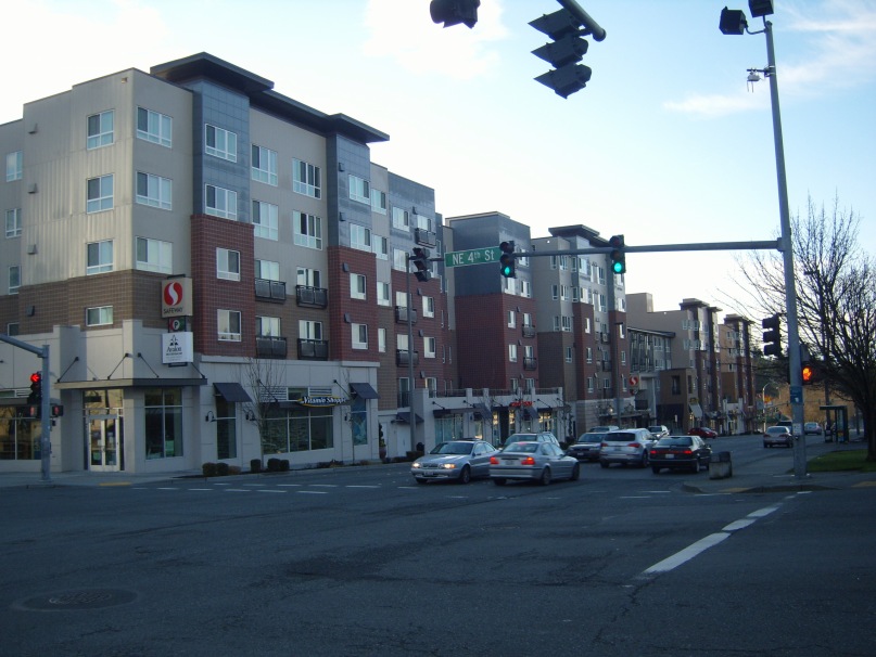 Роман Щемелёв фотография #33