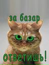 Ігор Гавриляк фотография #12 (источник - https://vk.com/id32232810)