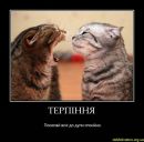 Назар Папіж фотография #23 (источник - https://vk.com/id68383269)