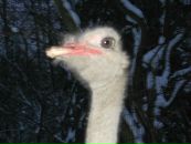 Фотография Анатольевой Натальи