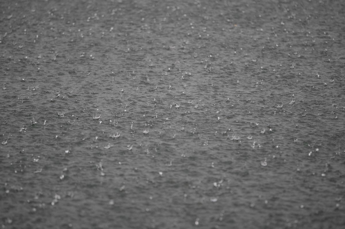 Qwesh Dv фотография #11