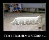 Денис Цветков фотография #27 (источник - https://vk.com/id2893261)