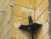 Фотография Рощиной Светланы