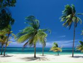 Фотография Сараевой Анастасии