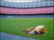 Дмитрий Волков фотография #8 (источник - https://vk.com/id768948)