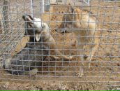 Євгеній Паламарчук фотография #49 (источник - https://vk.com/id19605009)