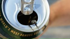 Фотография Ермакова Матвея