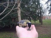 Ліна Омельчук фотография #17 (источник - https://vk.com/id120903202)