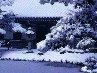 Игорь Ильчук фотография #34 (источник - https://vk.com/id82346433)