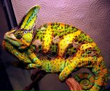 Фотография Ватуевой Ольги