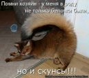 Сашко Федінчик фотография #39 (источник - https://vk.com/id167928114)