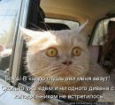 Настя Кіндрат фотография #10 (источник - https://vk.com/id121880491)
