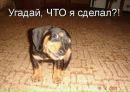 Іван Ващак фотография #13 (источник - https://vk.com/id169281520)