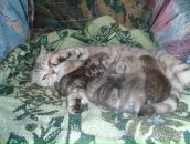 Фотография Алеевой Оксаны