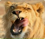 Фотография Арутюняна Карена