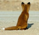 Фотография Алабушевой Людмилы
