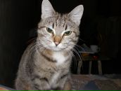 Фотография Федоровой Саши