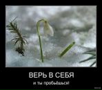 Фотография Самохин Иван