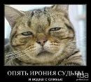 Сергій Grey фотография #38 (источник - https://vk.com/id55714195)