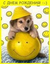 Вова Федінчик фотография #46 (источник - https://vk.com/id167941918)