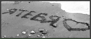 Фотография Star Anna