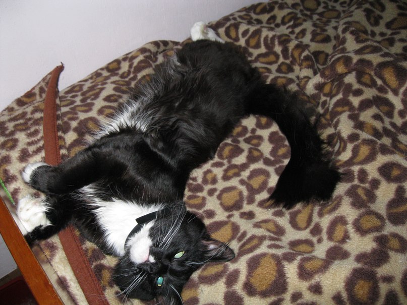 Галина Владика фотография #25