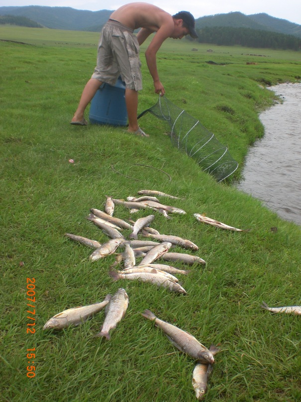 Ууганбаатар Ганбаатар фотография #46