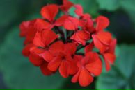 Андрій Лук'яненко фотография #10 (источник - https://vk.com/id5930513)