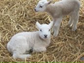 Фотография Гарифулиной Юлии