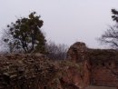 Марія Витвицька фотография #25 (источник - https://vk.com/id1296053)
