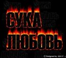 Міша Гусак фотография #41 (источник - https://vk.com/id50627827)