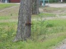 Славік Роздайбіда фотография #17 (источник - https://vk.com/id27528212)