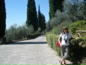 Оля Місінкевич фотография #9 (источник - https://vk.com/id40134605)